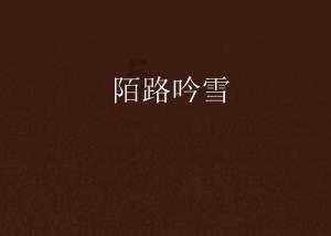 金沙9570(集团)股份有限公司